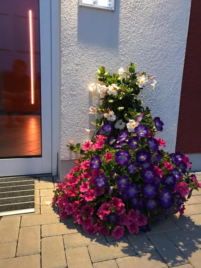 Ferienwohnungen Am Feldrain - Gornau Im Erzgebirge Zschopau Kültér fotó