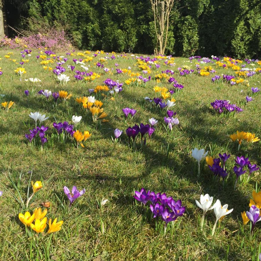 Ferienwohnungen Am Feldrain - Gornau Im Erzgebirge Zschopau Kültér fotó